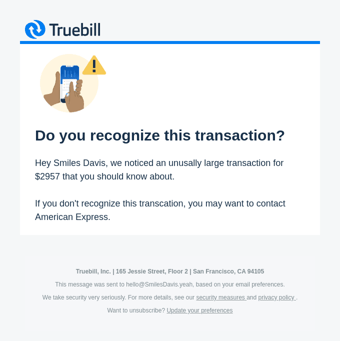 ⚠️ Large Transaction Detected