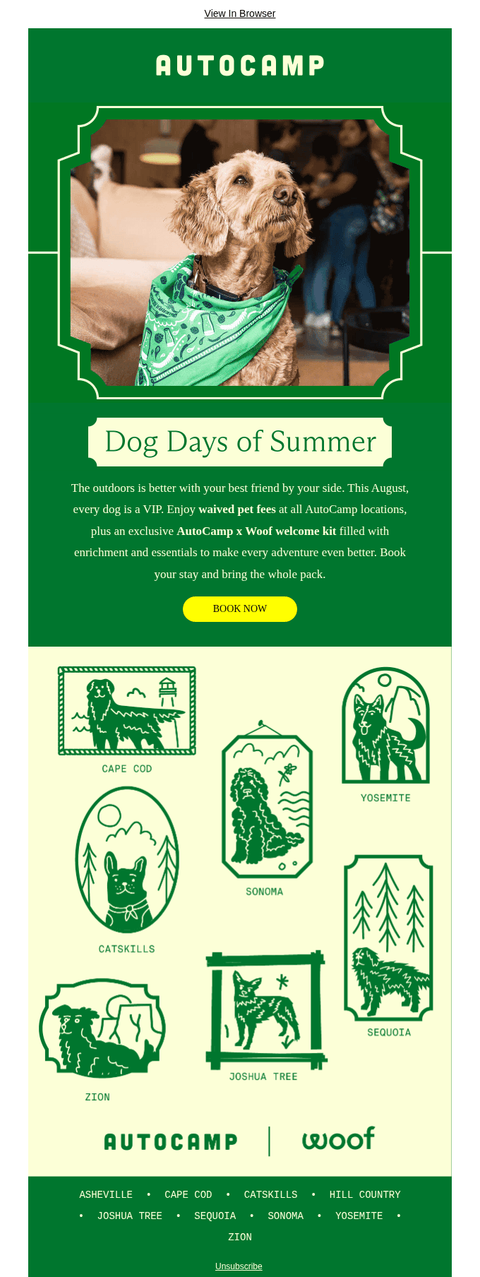 Calling all adventure pups