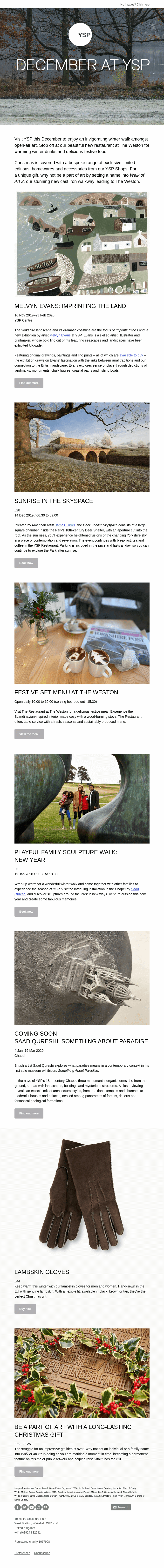 December at YSP