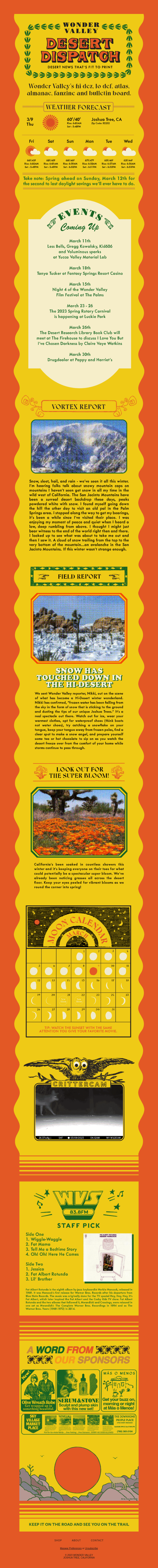 Desert Dispatch V.10