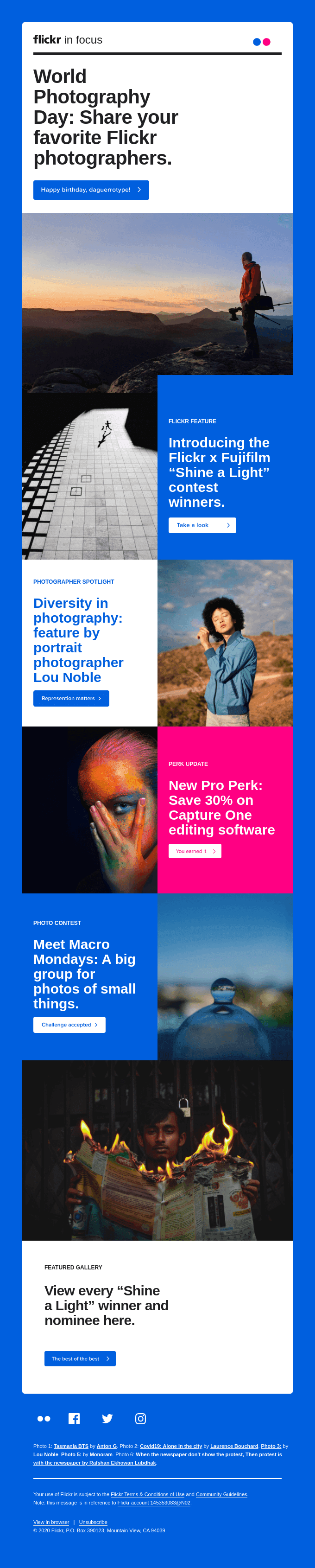 Flickr In Focus | August 2020