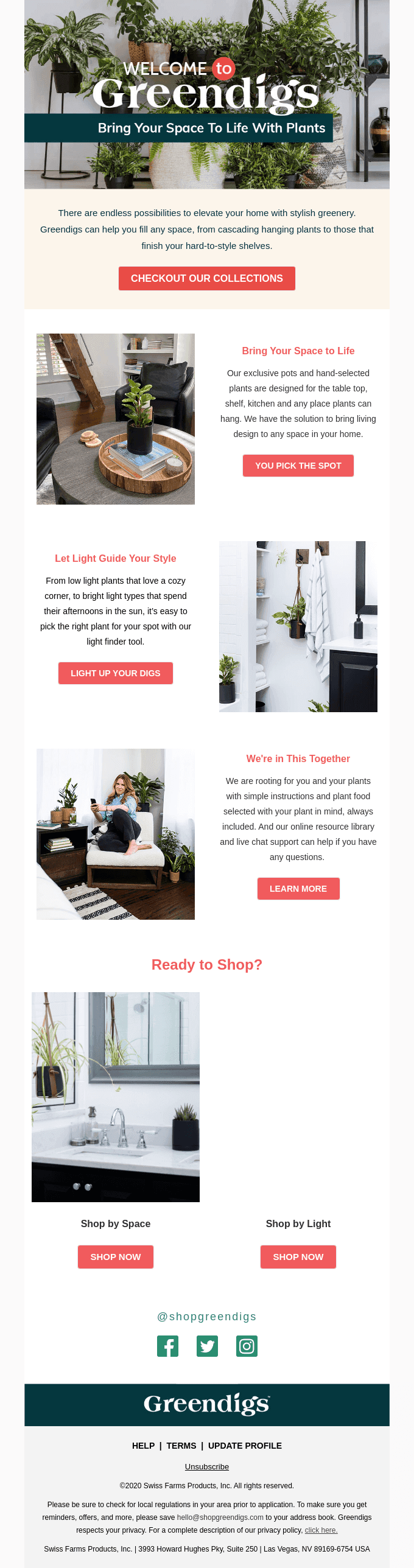 Greendigs’ Decor-Forward Plants
