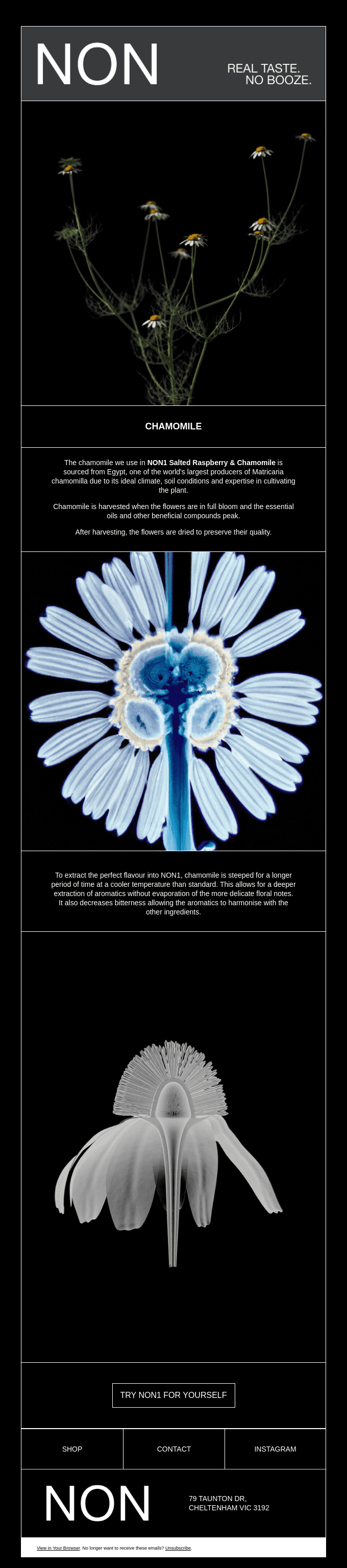 GROUND TO GLASS: CHAMOMILE