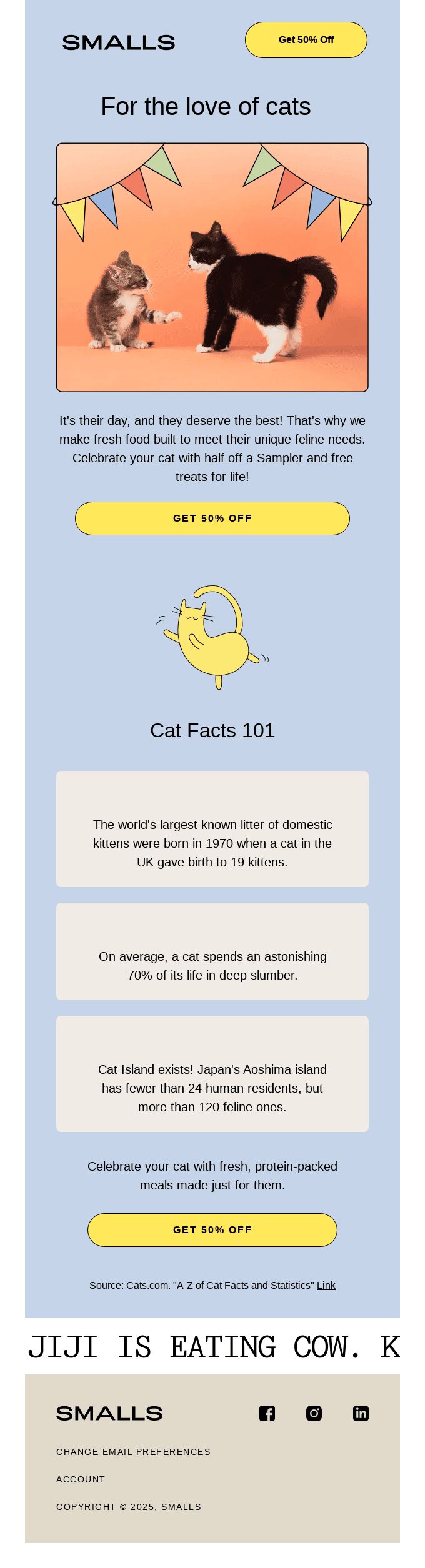 HAPPY NATIONAL CAT DAY! 🐱🎉