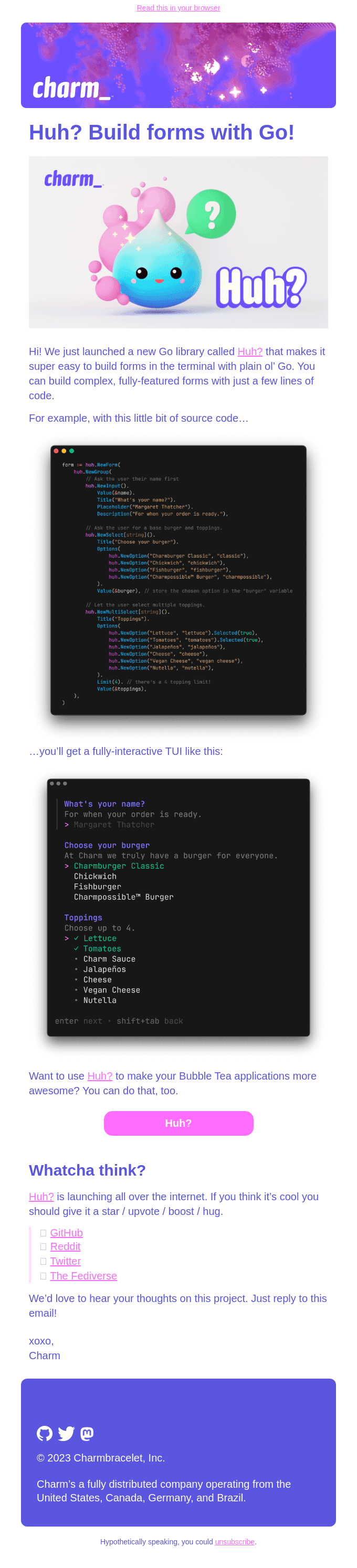 Huh? Build forms in Go.
