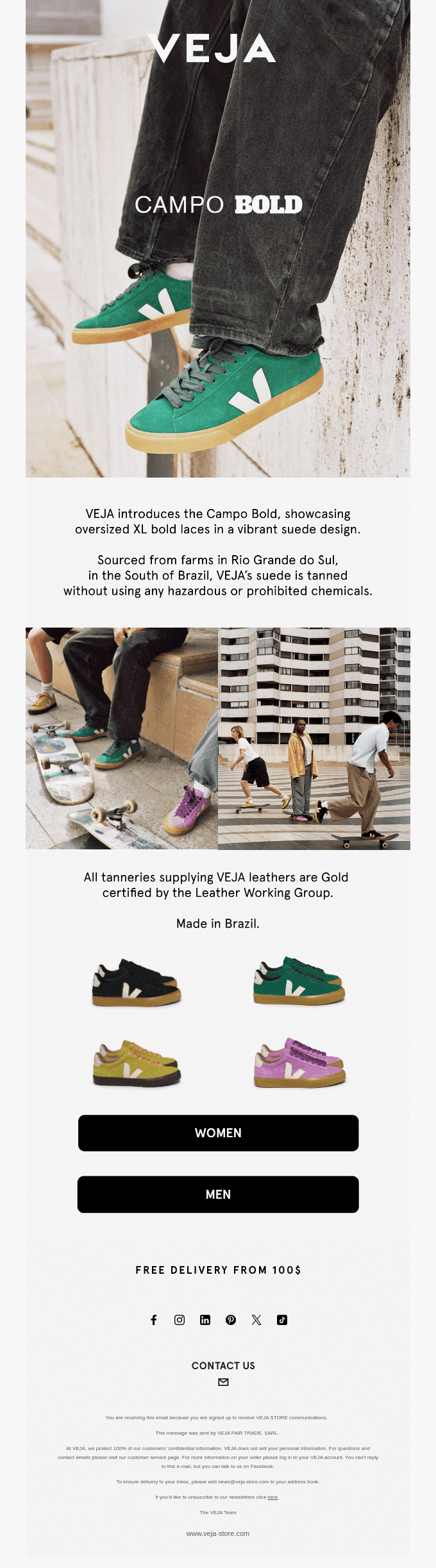INTRODUCING: CAMPO BOLD