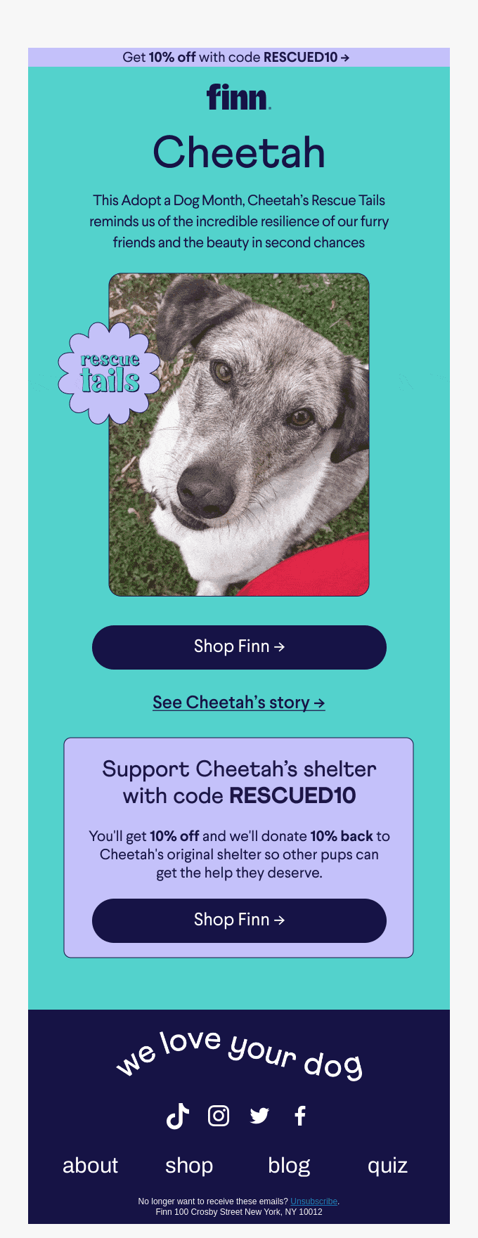 Let's rally around rescue pups 🐶🧡
