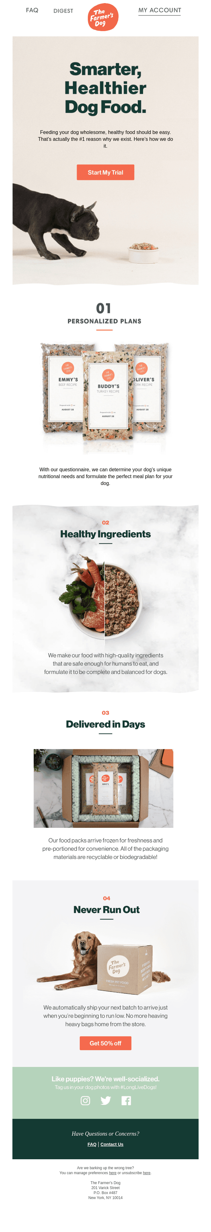 Let's talk about your dog's plan...