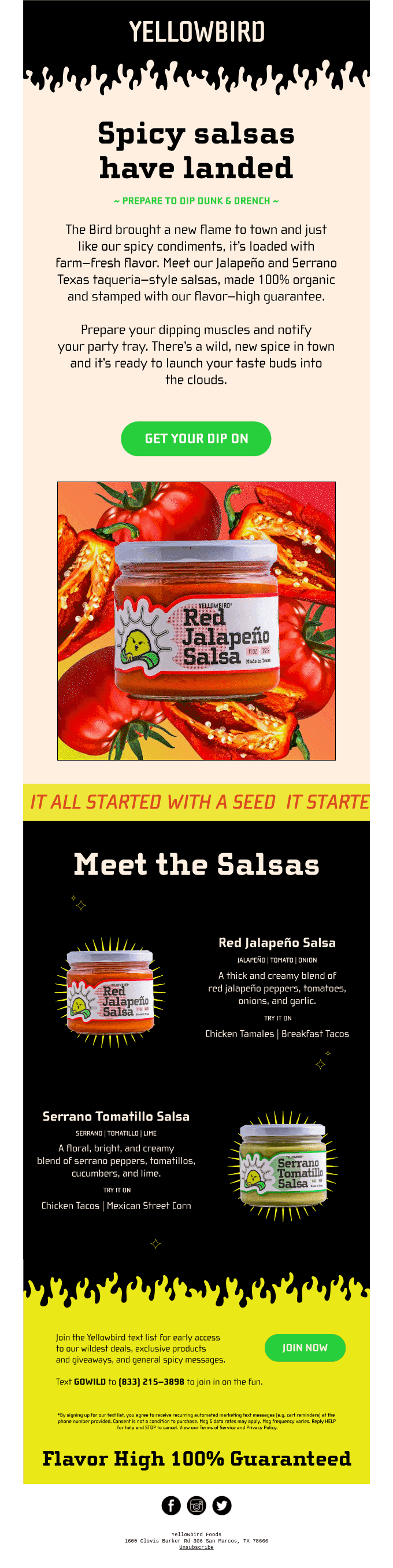 Meet the Salsas 🌶️