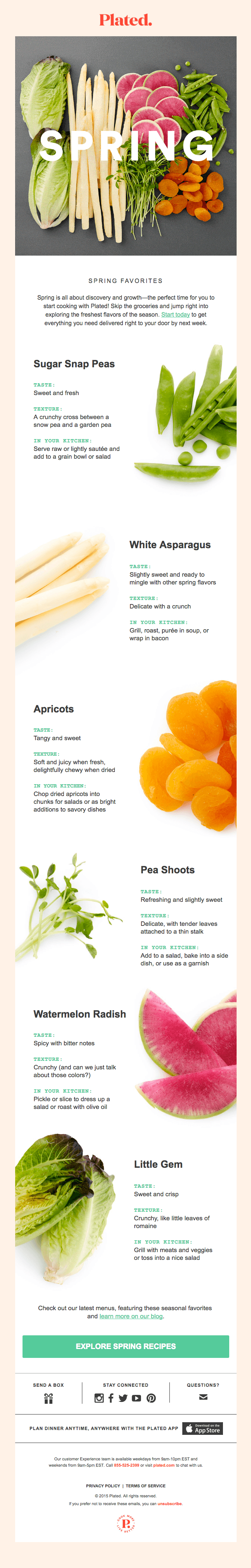 Meet your new spring favorites 🌱