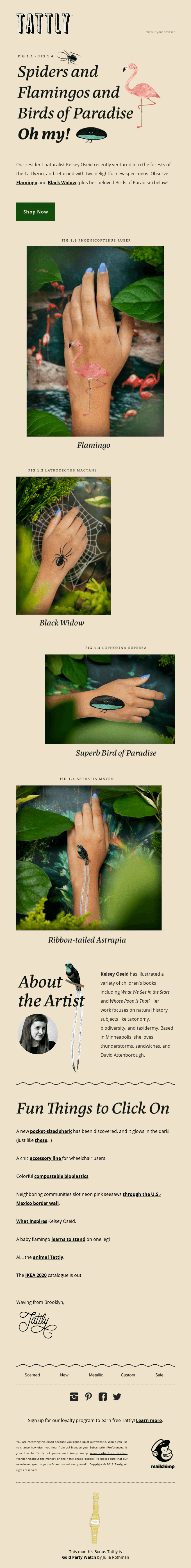 New! Flamingo and Black Widow 