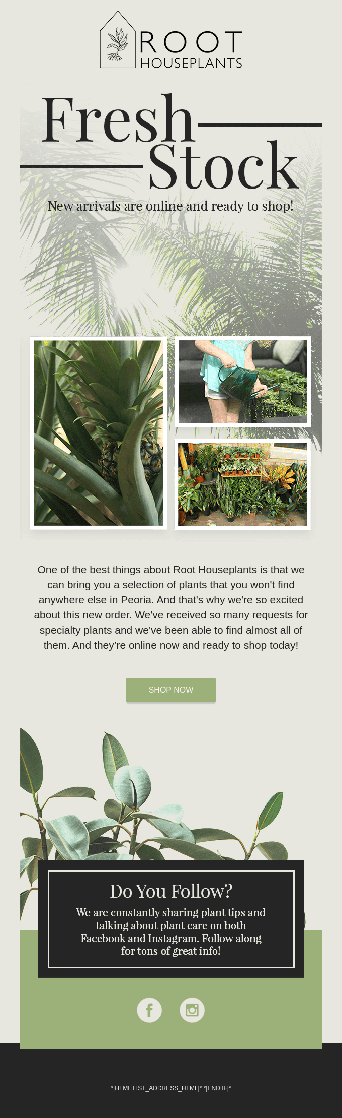 New plants in stock now!