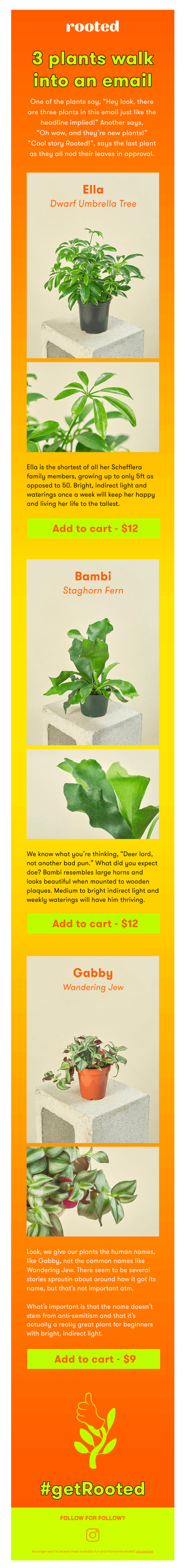 ⚠️ NEW PLANTS YOU NEED NOW ⚠️
