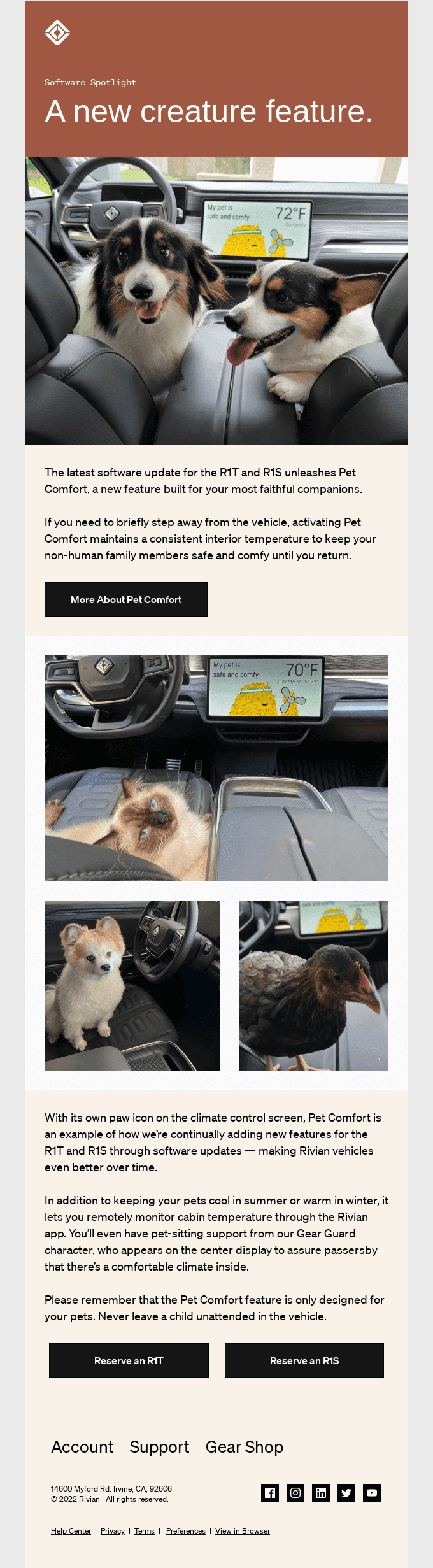 Pets Love This R1 Update