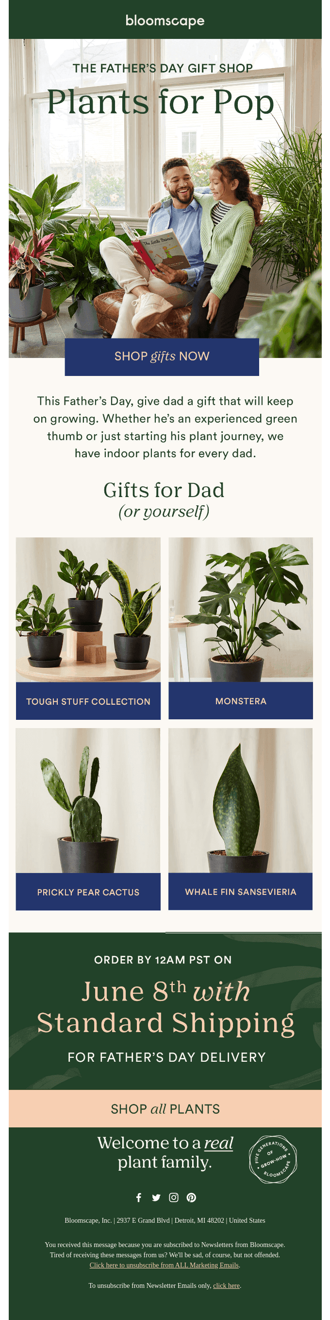 Plant Picks for Your Pop 🪴