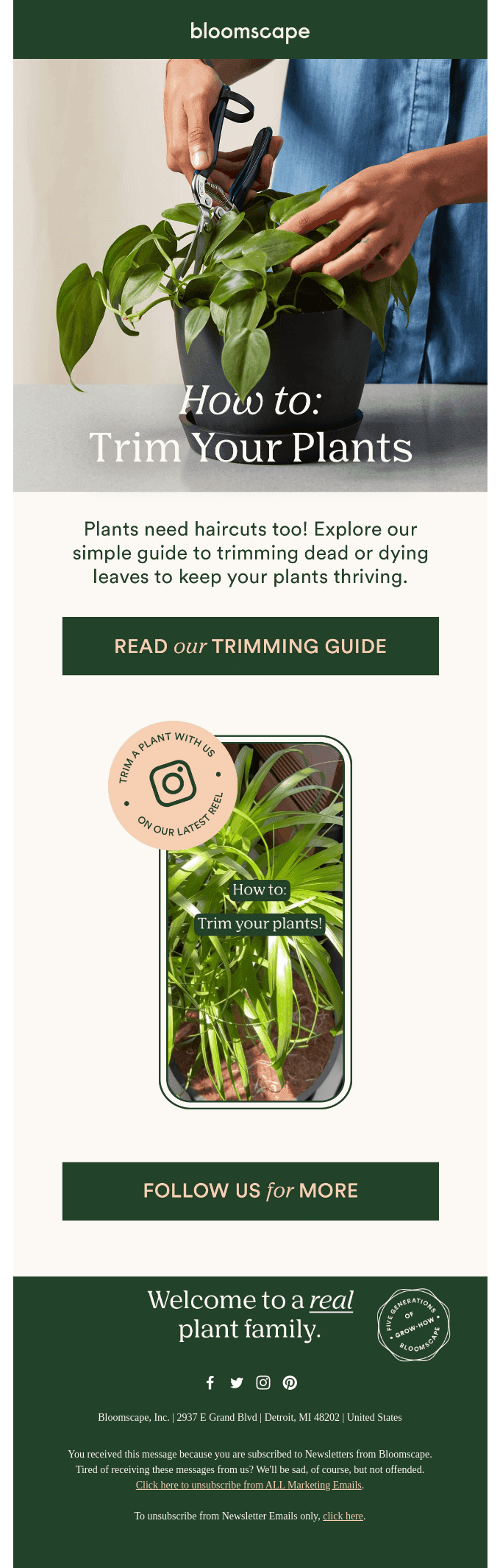 Plants need haircuts too