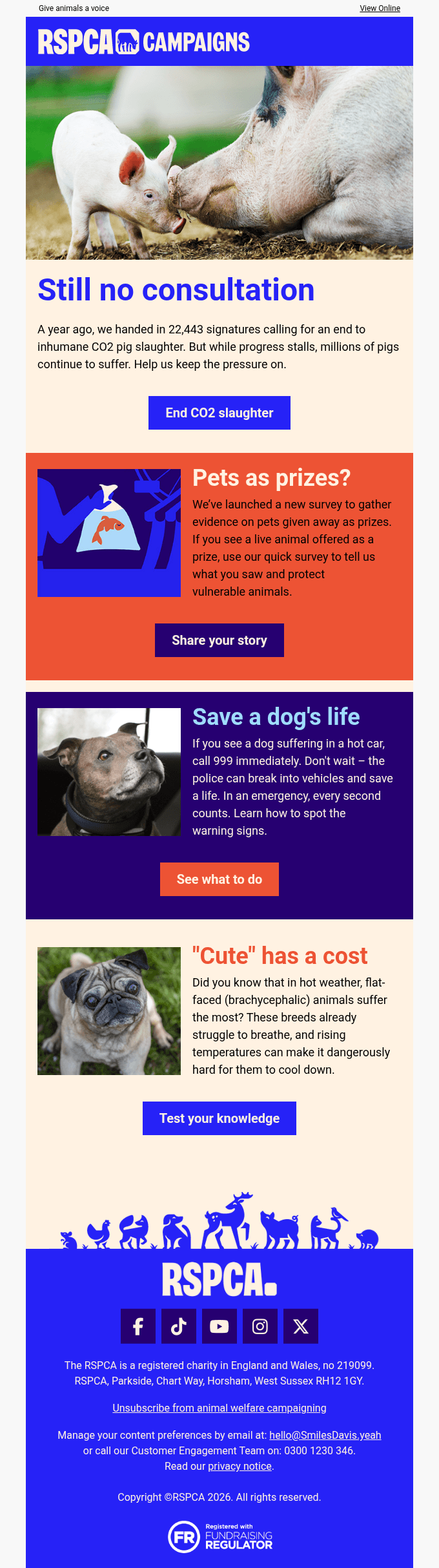 Smiles, pigs still need your voice
