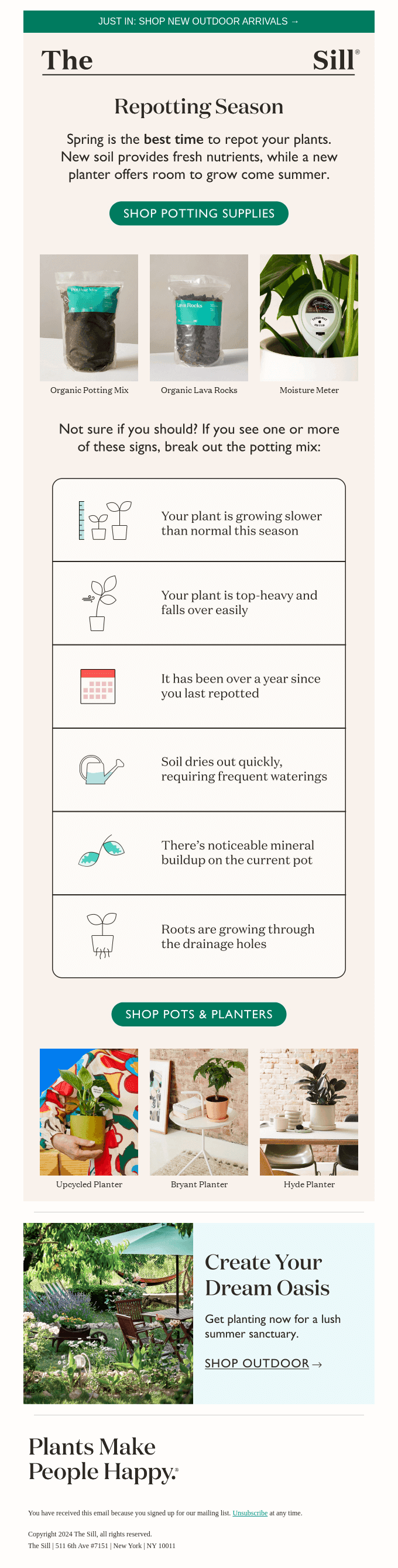 Signs You Need to Repot ⚠️