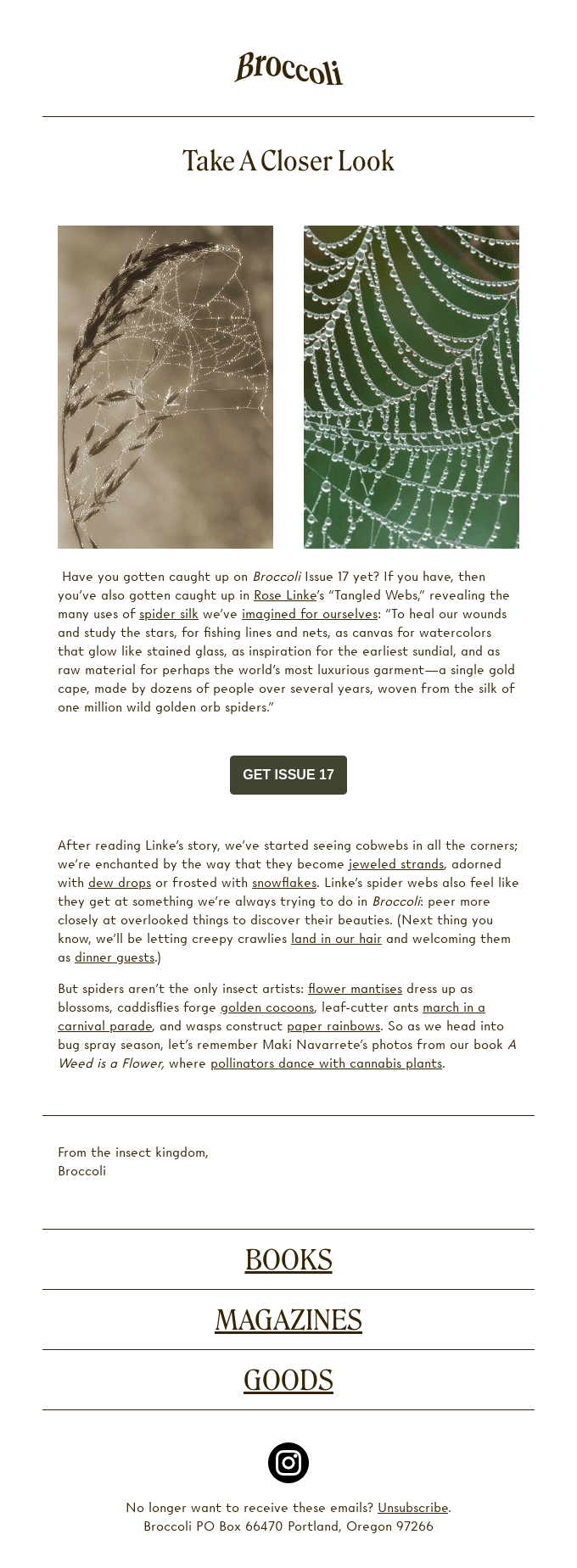 Tangled Webs