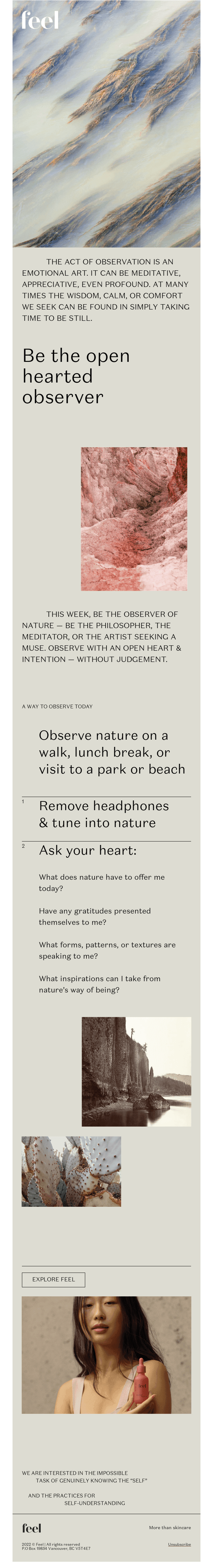 The art of simply observing