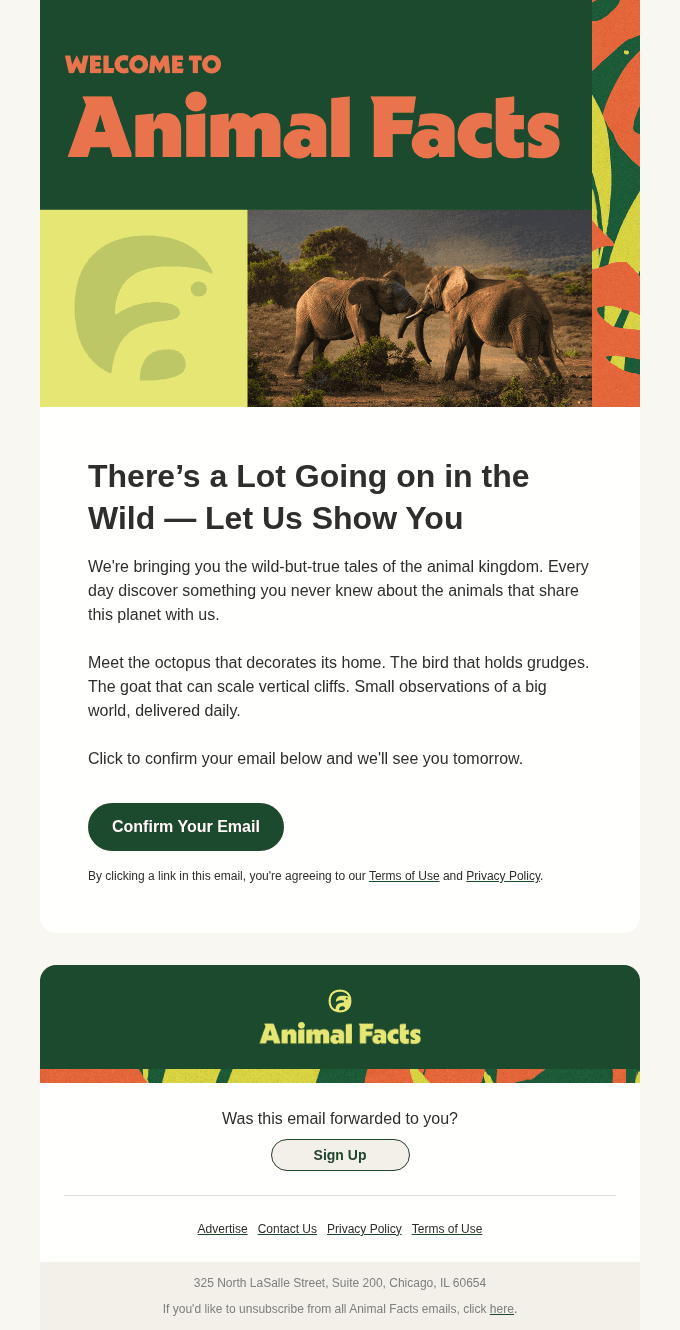 Welcome to Animal Facts!
