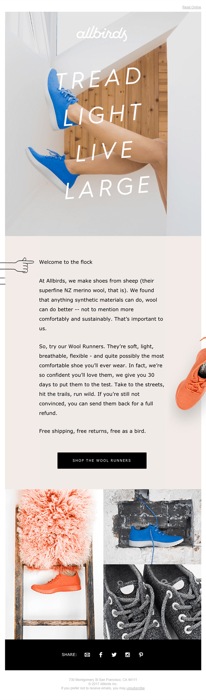 Welcome To The Flock