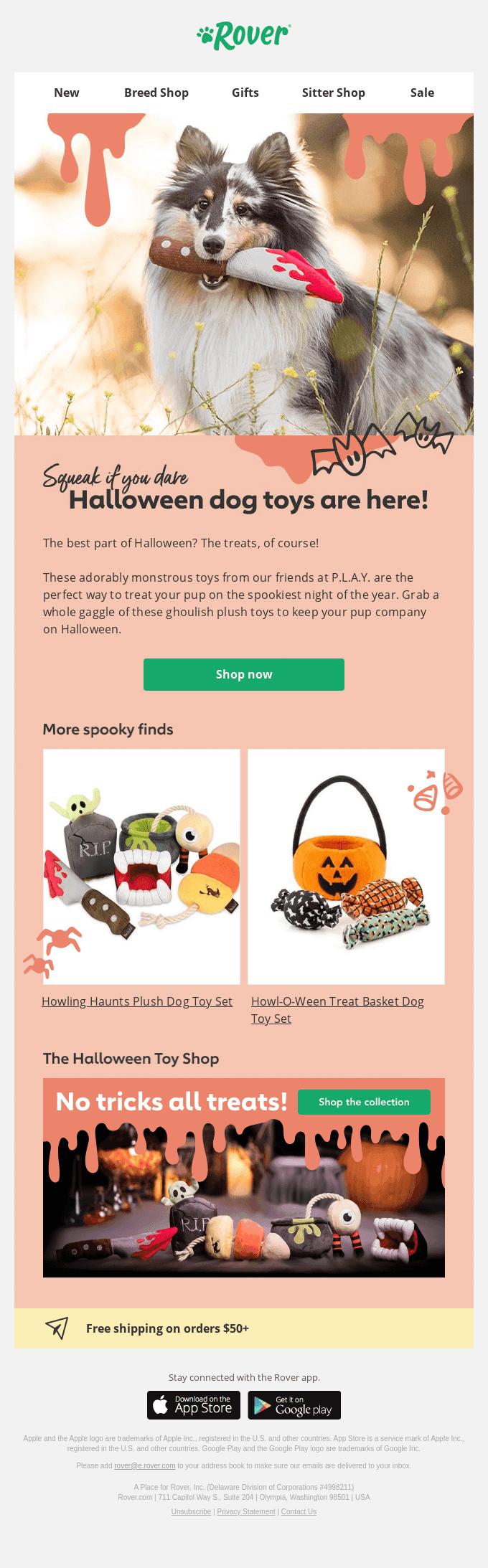 👻 Halloween toys your dog will love 🎃