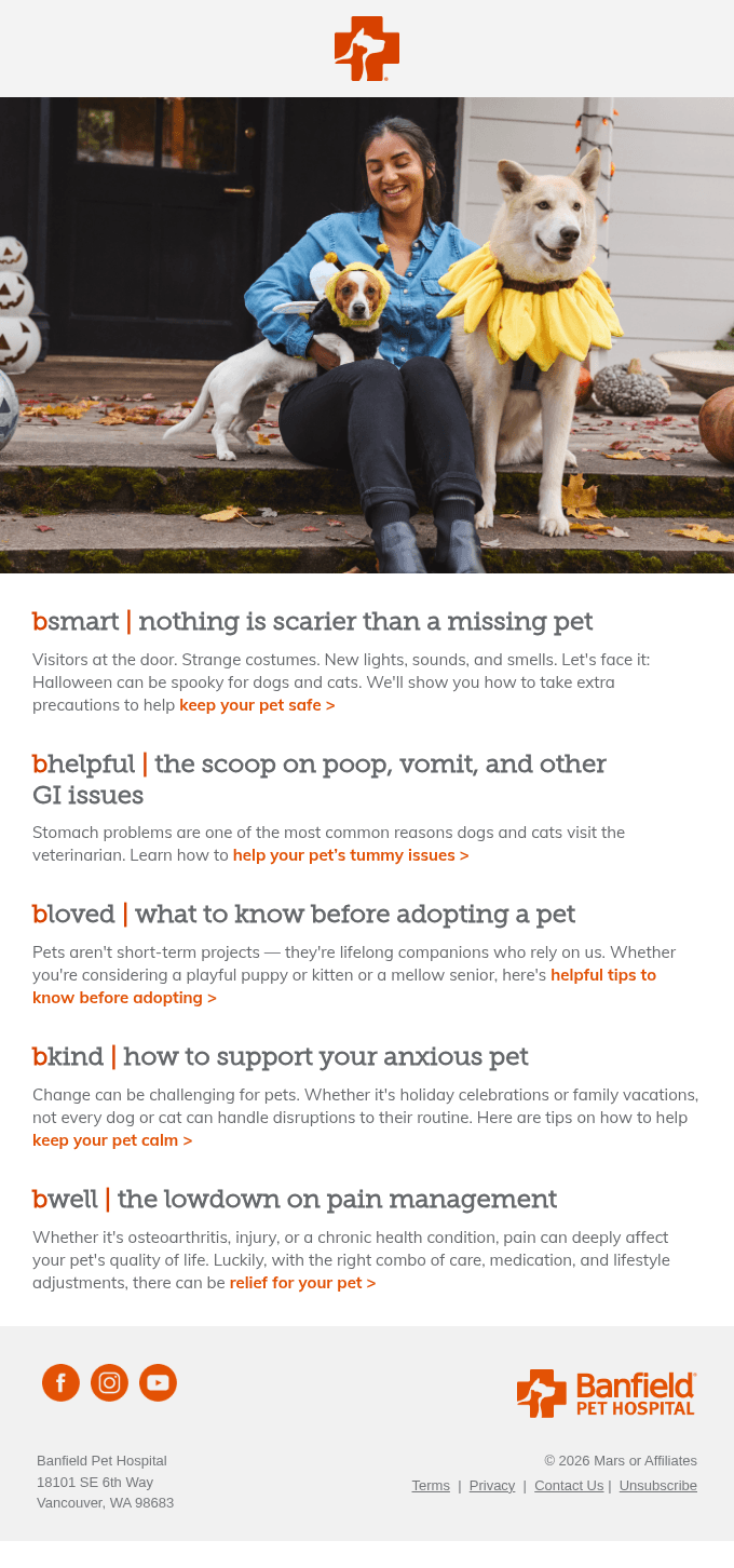 bmail: Halloween safety for your pet