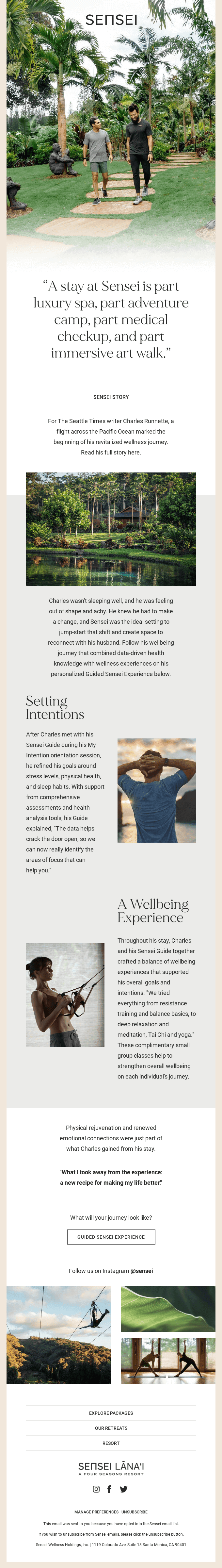 Discover Your Personal Equilibrium at Sensei