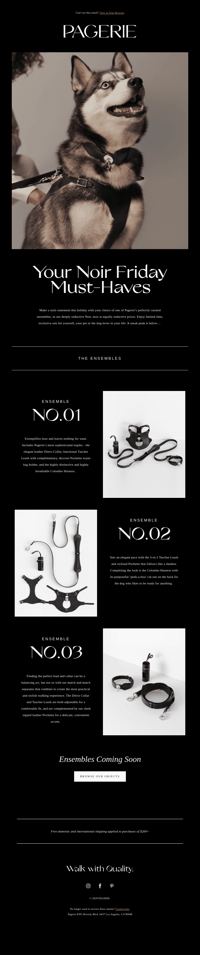 Exclusive Preview: The Ensembles