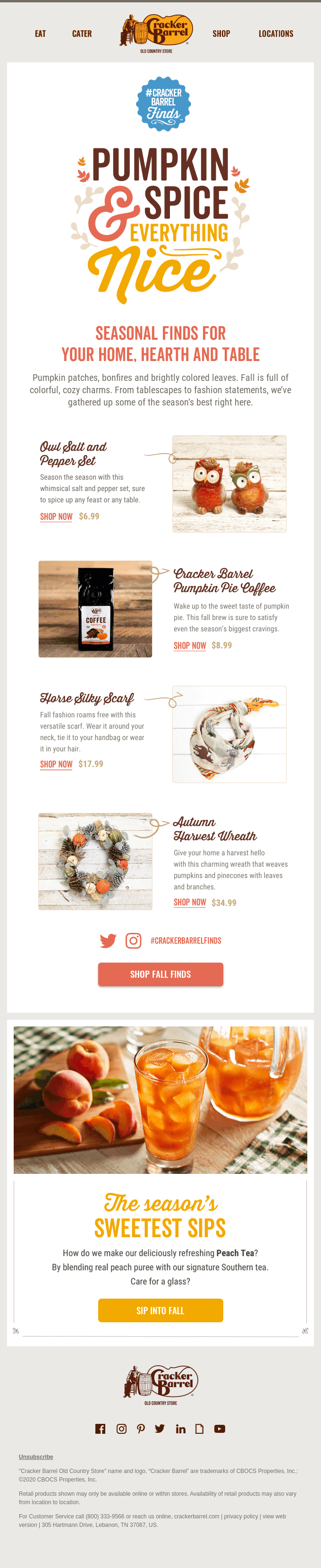 Fall in love with our new fall finds