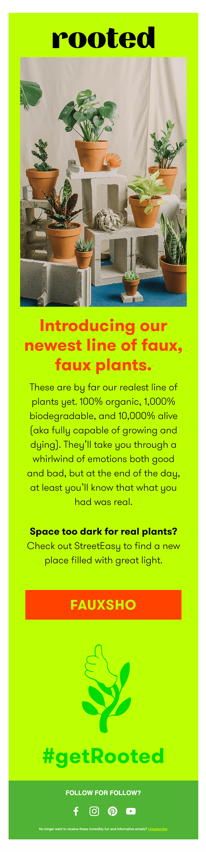 Introducing our NEW line of faux faux plants 🌱