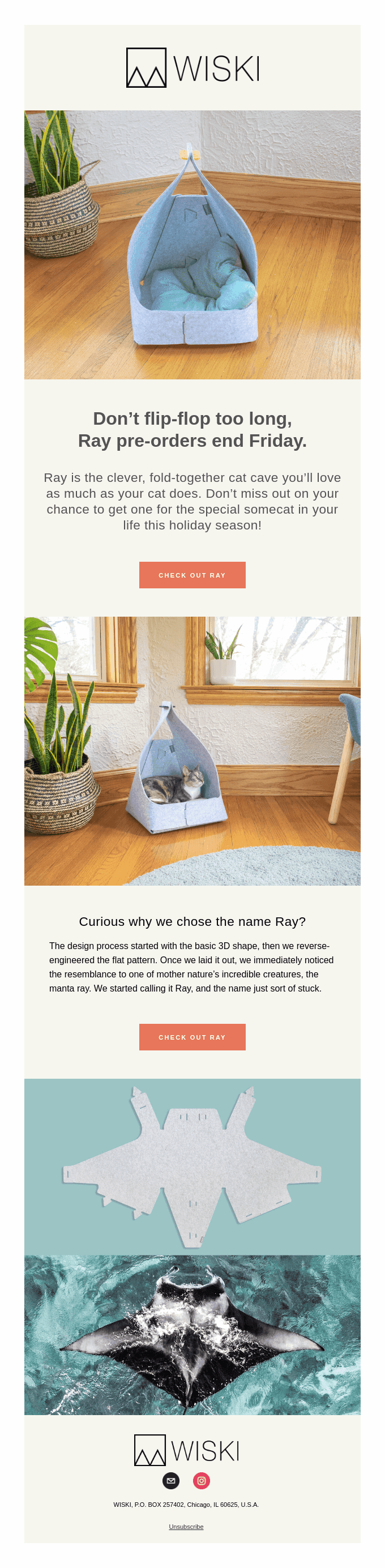 Last Chance to Get Ray for Christmas!