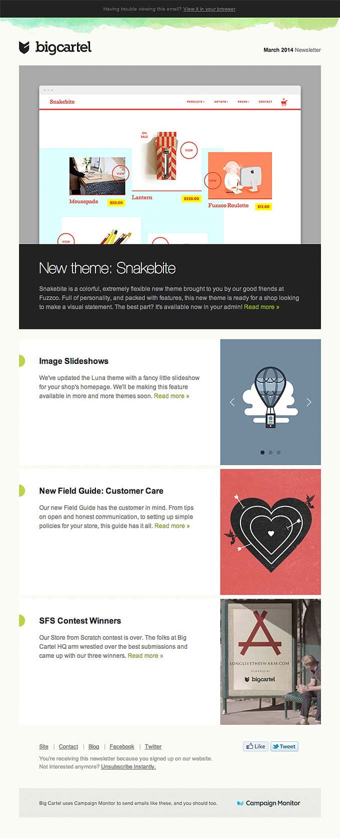 Newsletter Email Design from BigCartel