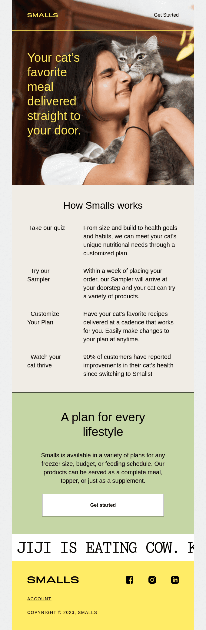 Nutrition for Cats 🤝 Convenience for You