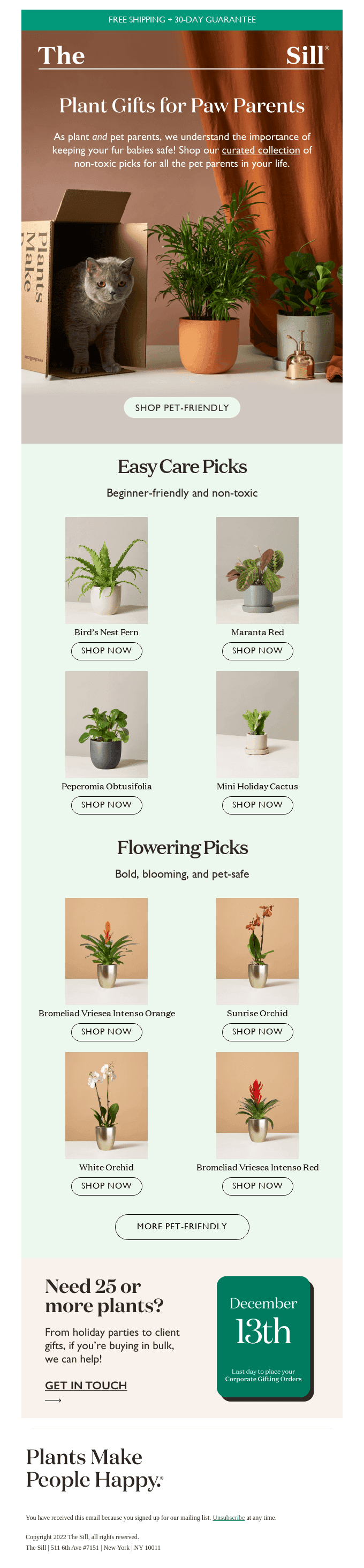 🐱 Pet-Safe Plants for Happy Homes 🐶