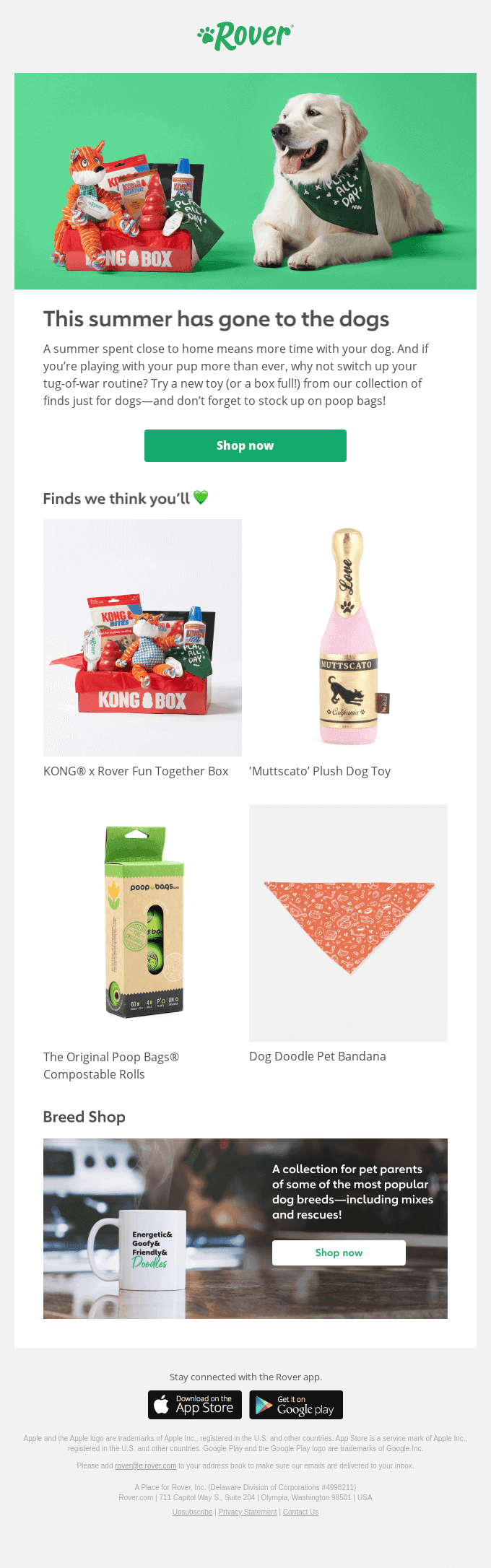 Shop new summer toys for your dog!