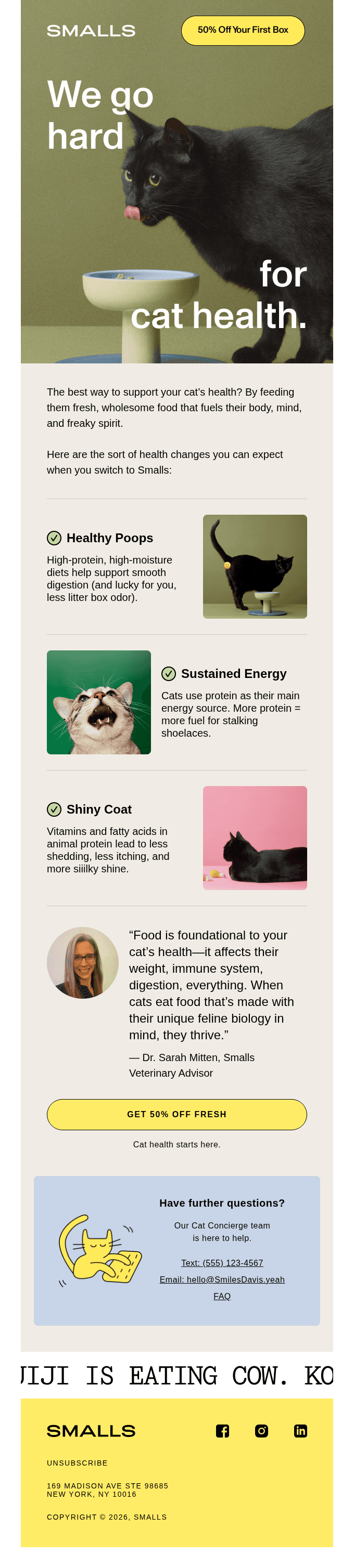 The upgrade your cat's vet would be proud of.