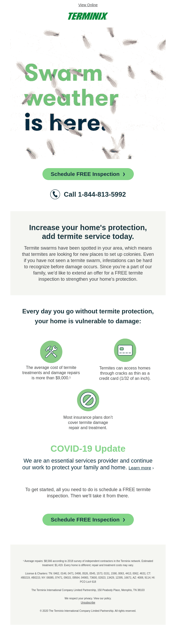 Termite swarms are now in your area