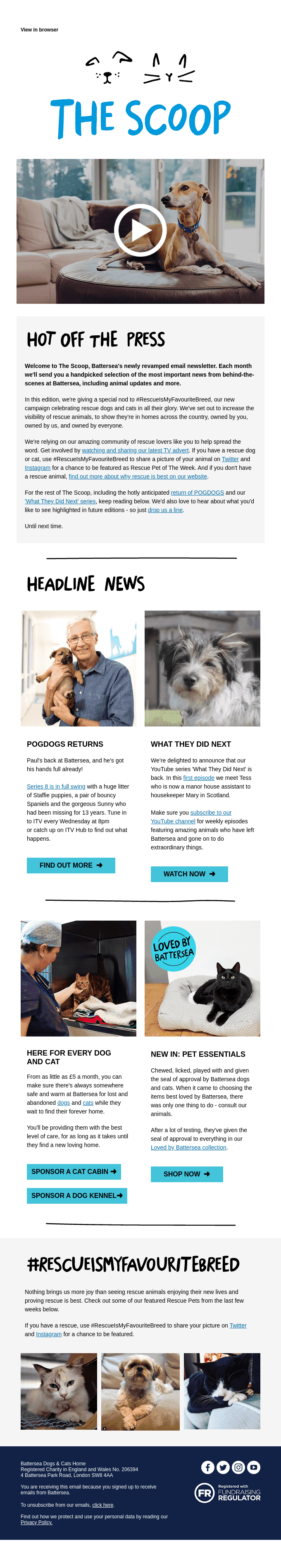 The Scoop: #RescueIsMyFavouriteBreed and POGDOGS