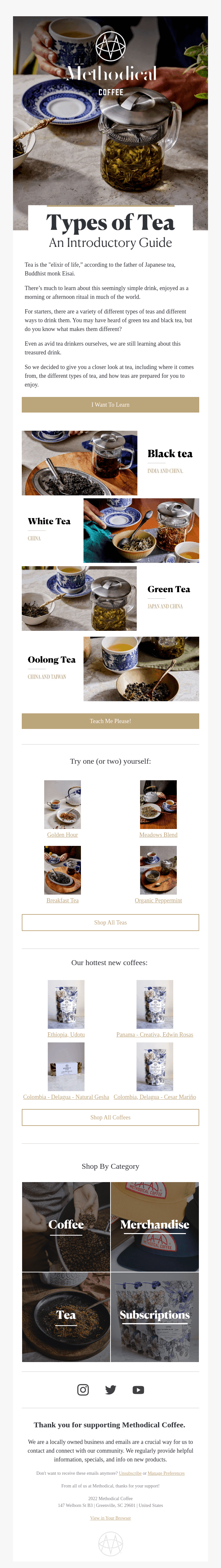 🫖 Types of Tea: An Introductory Guide