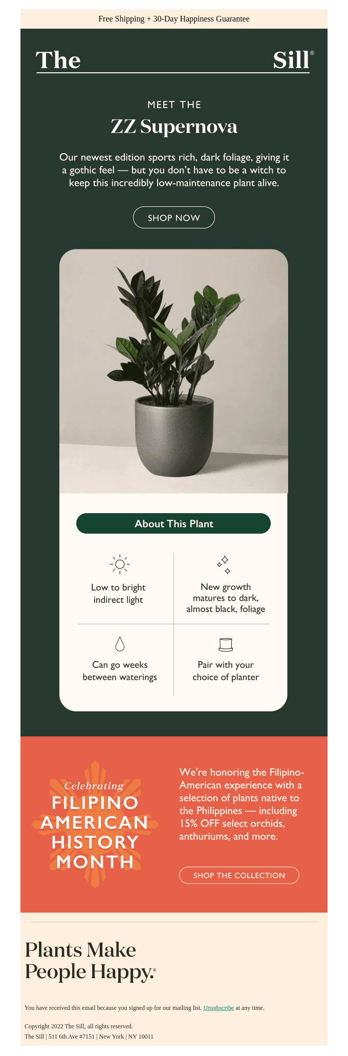 Unleash Witchy Magic with Our Newest Plant! 🔮