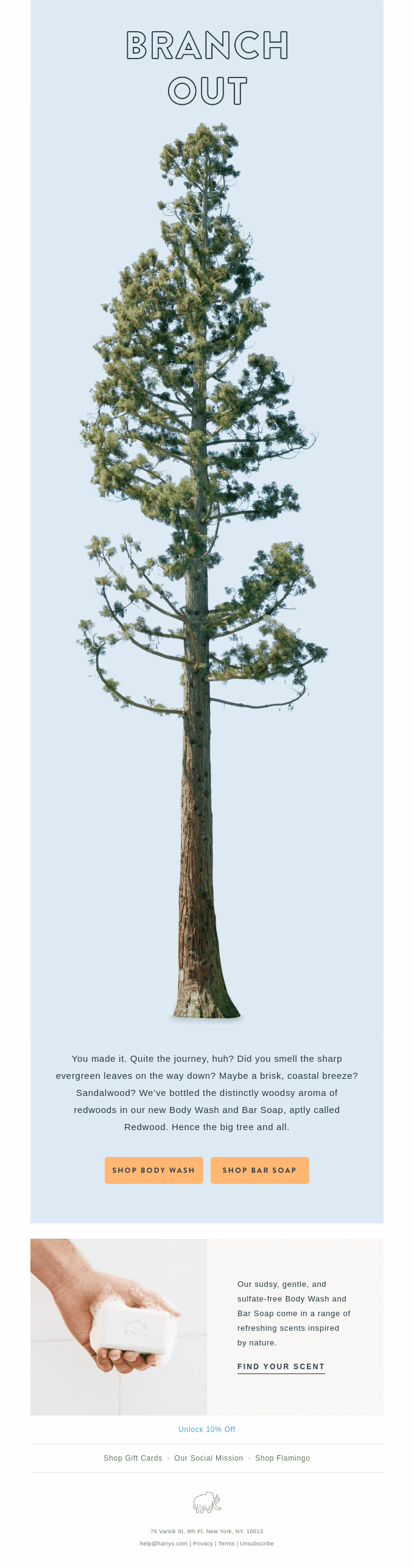 Welcome to our neck of the woods 🌲