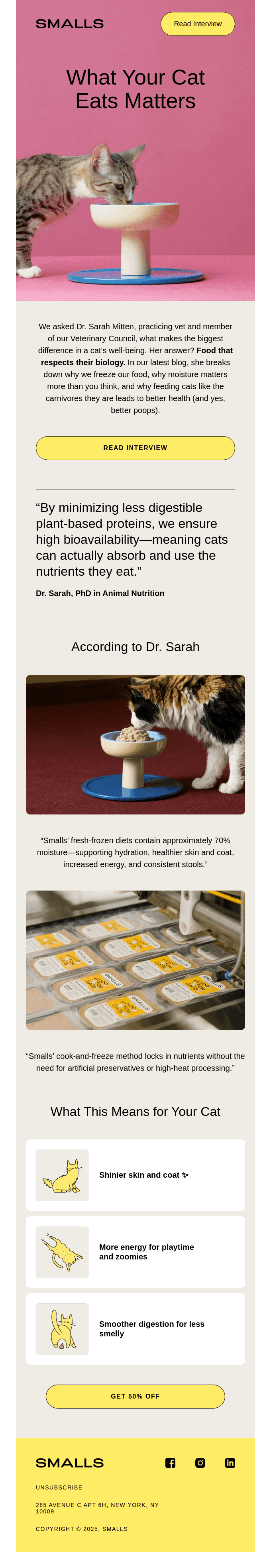 Why cats need fresh, protein-rich meals