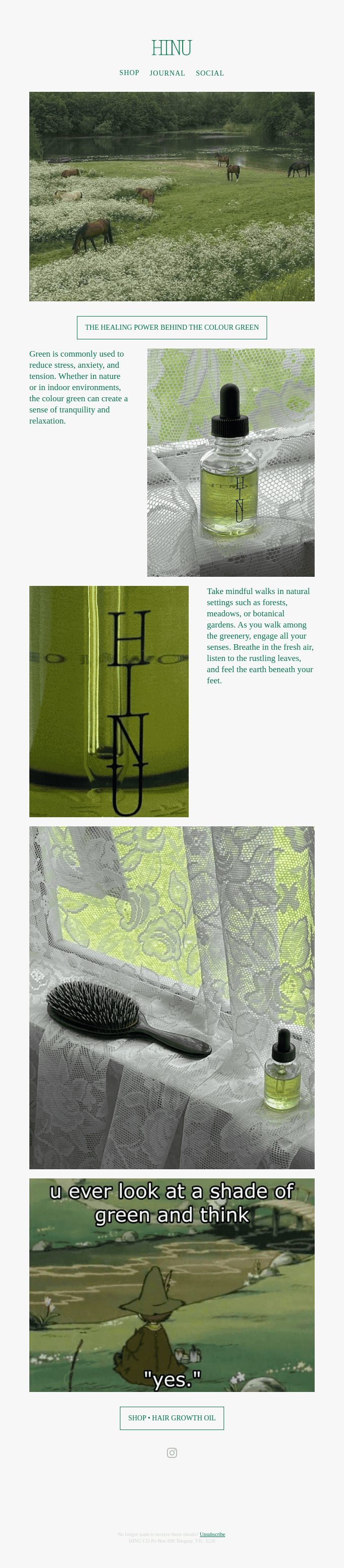 Why the colour green is so powerful 🌿