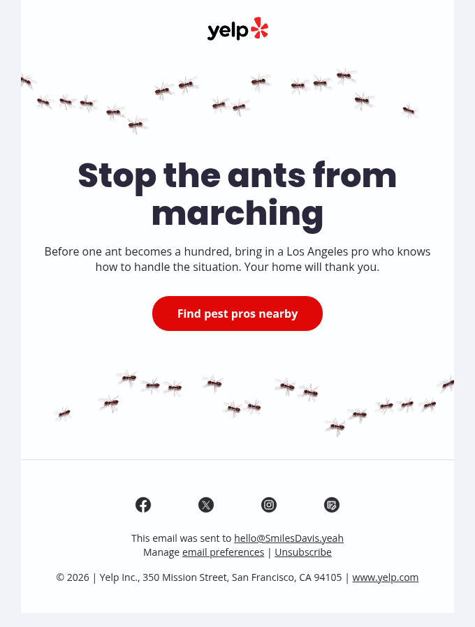 They never come alone 🐜